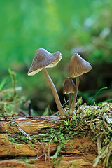 4742953594_23a8903068_m.jpg