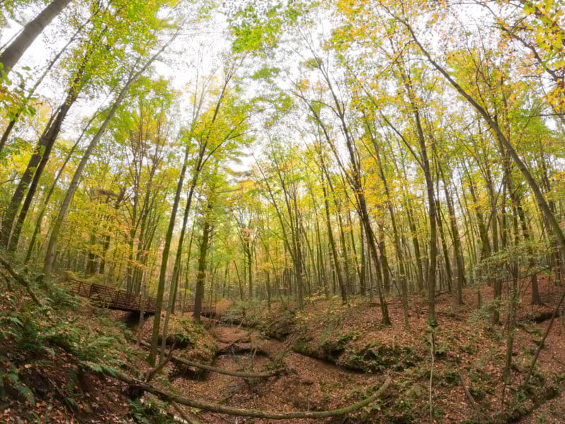 gopro-hero10-black-sample-wide-lens-800x600.jpg