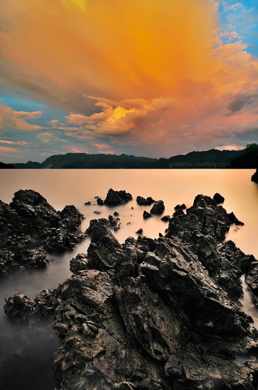 Dusky_Tangerine_by_gidferrer.jpg