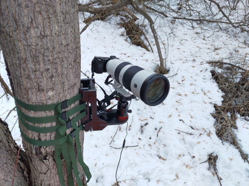 Camera-trap-800x600.jpg