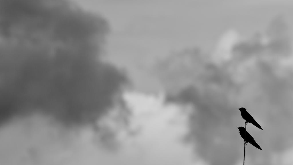 stuckwitchu_by_draken413o-d33mw8z.jpg