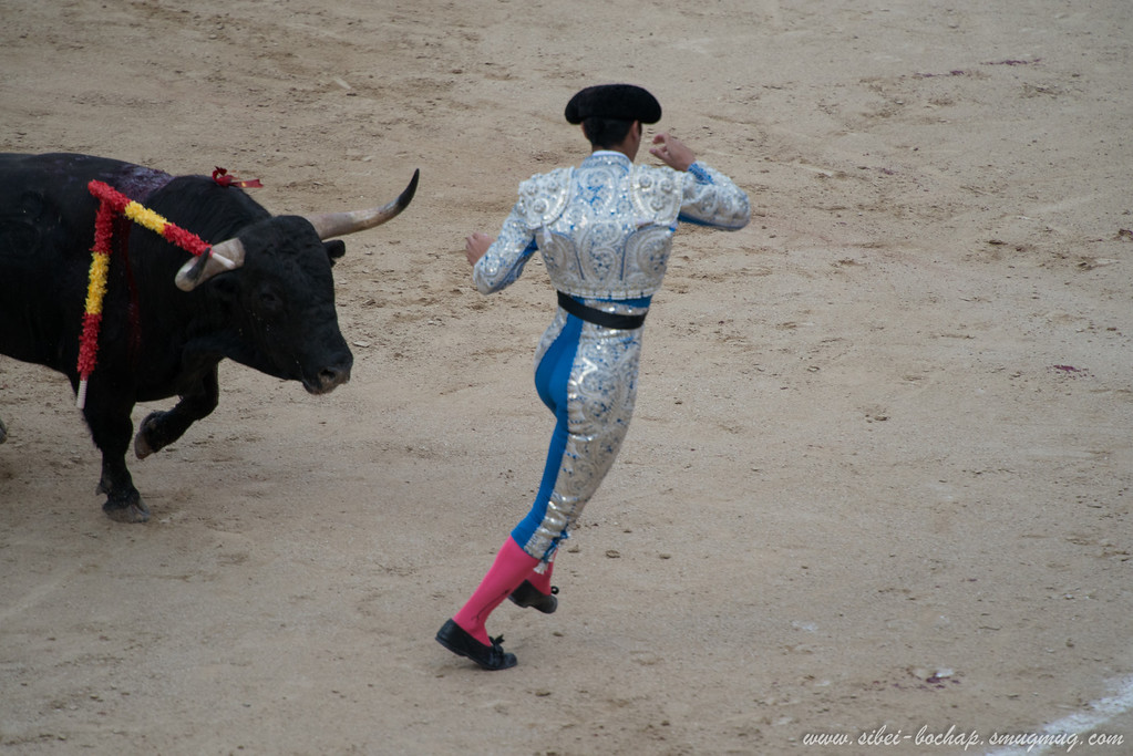 DSC8133-XL.jpg