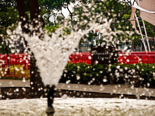 P1120643-2.jpg