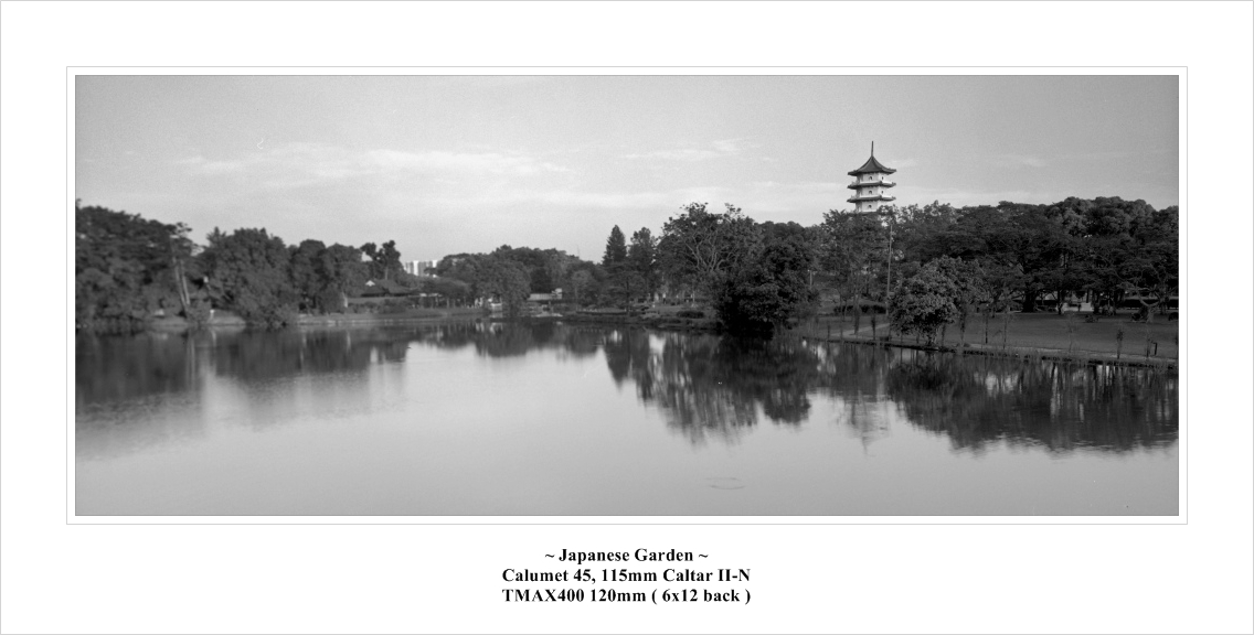chinese003s.jpg
