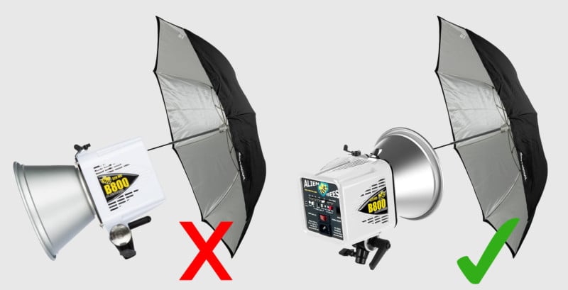 wrongrightfeattt-800x409.jpg