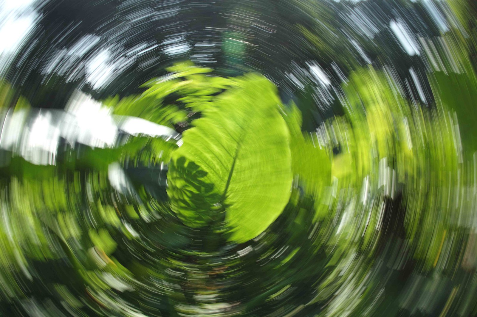 10527937874_1d6dc97f66_h.jpg