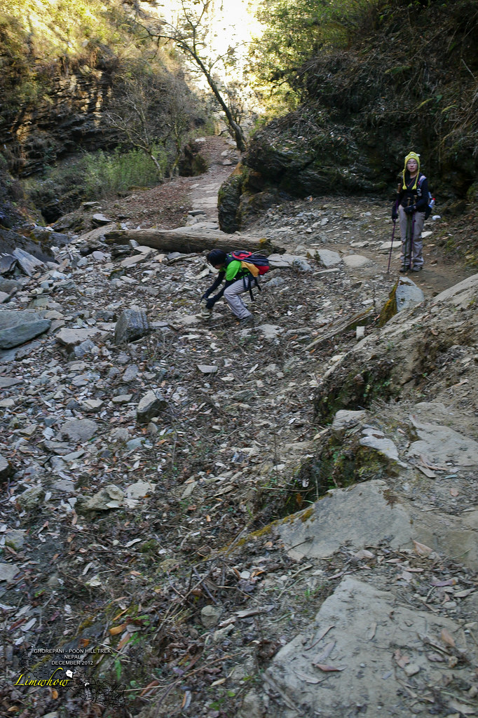 8299005277_5c4769ea85_b.jpg