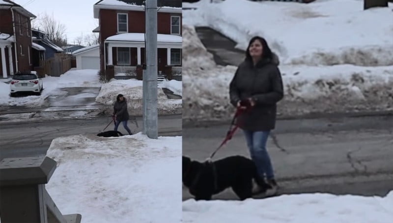 machine-learning-dog-detecting-camera-3-800x453.jpg