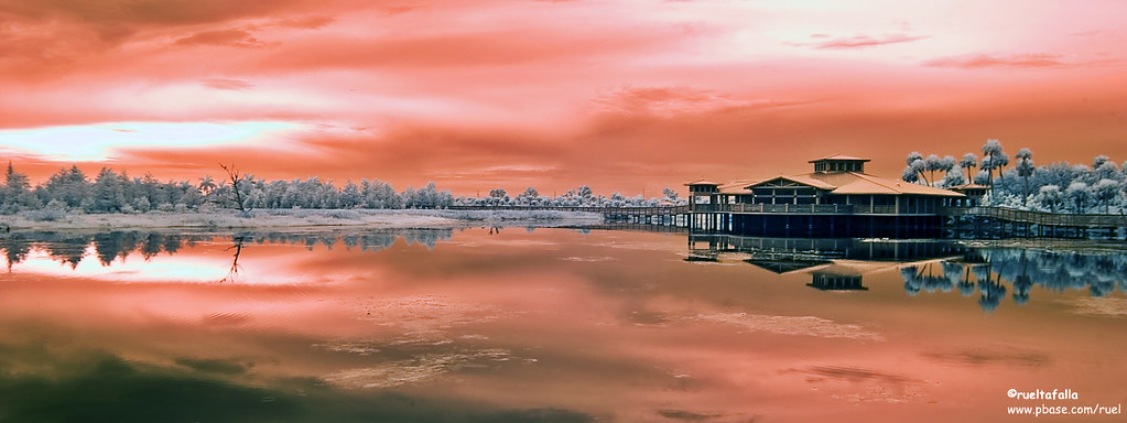 1360821197_b5b569ea92_b.jpg