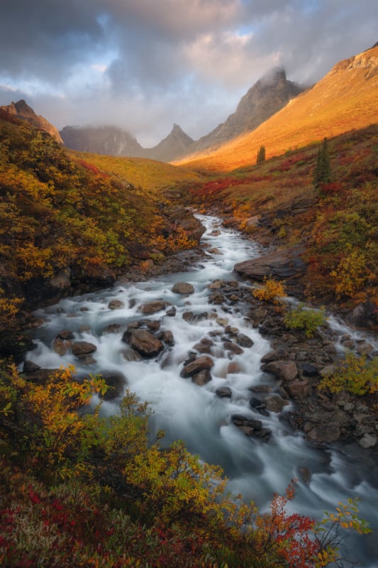 Fall-Aplendor-533x800.jpg