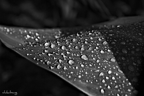 4653029960_7aa18a7e99.jpg
