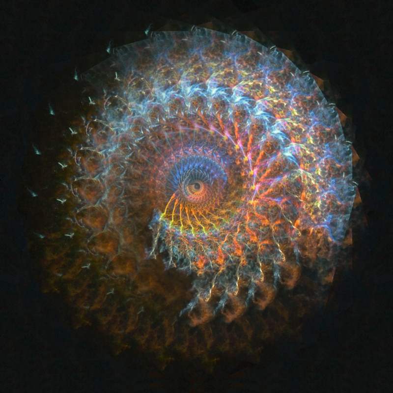 2.Veil_Vision-800x800.jpg