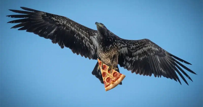 A large bird of prey soars against a clear blue sky, clutching a slice of pepperoni pizza in its talons.