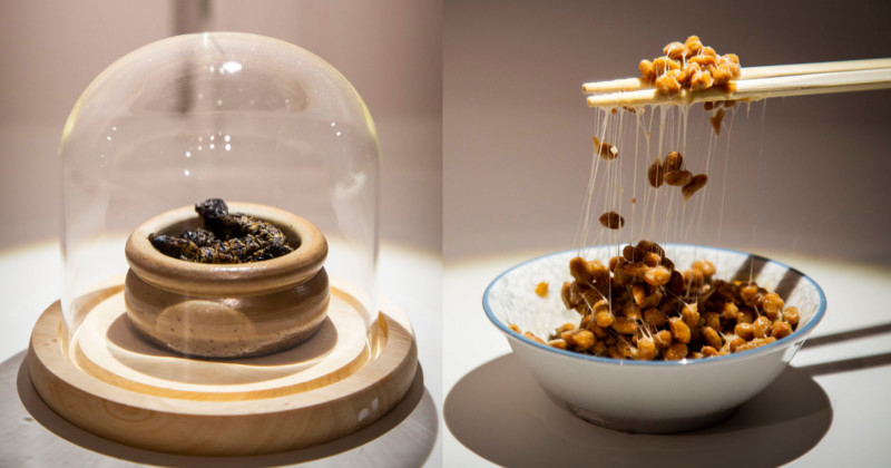 disgustingfoodsfeatt-800x420.jpg