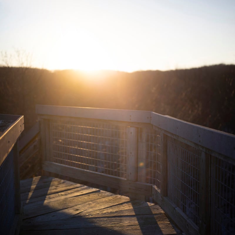 Pic010-stitch-800x800.jpg