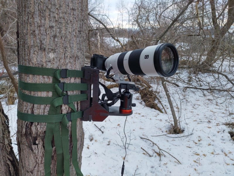 Camera-trap-2-800x600.jpg