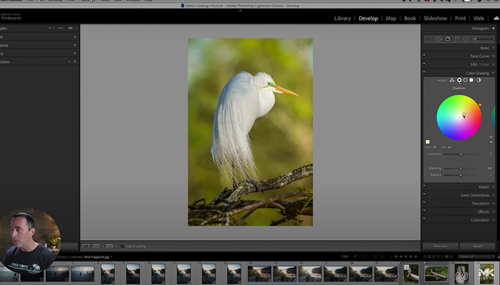 5 Helpful Tips for Working in Lightroom