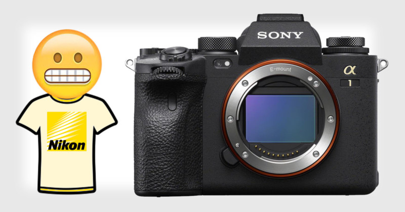 sonyparanoiafeat-800x420.jpg