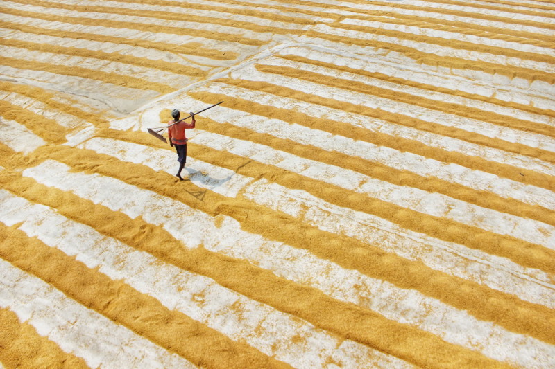 rural-india-travel-roy-petapixel-10-800x533.jpeg