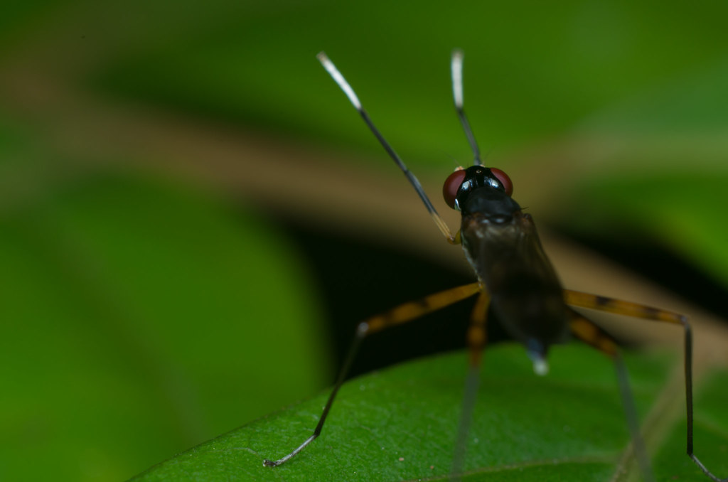 8124689821_e951f519c7_b.jpg