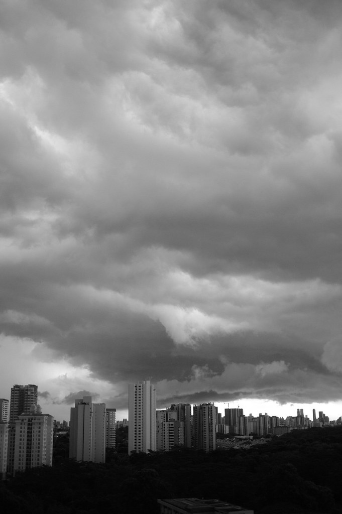 3356037426_45b420de2c_b.jpg