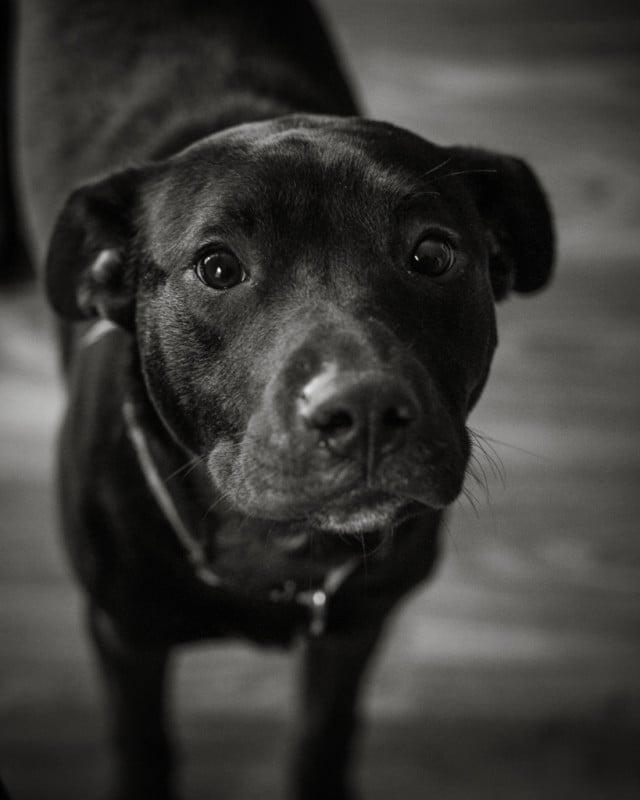 s2-640x800.jpg