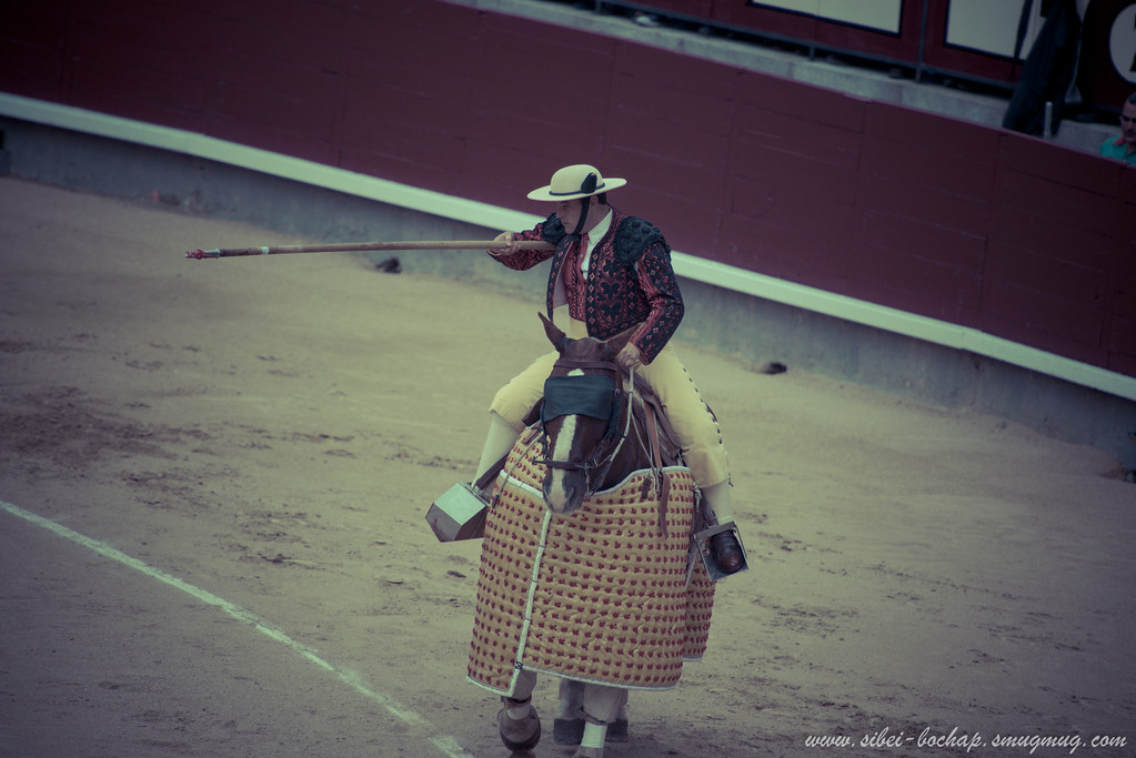 DSC7971-XL.jpg