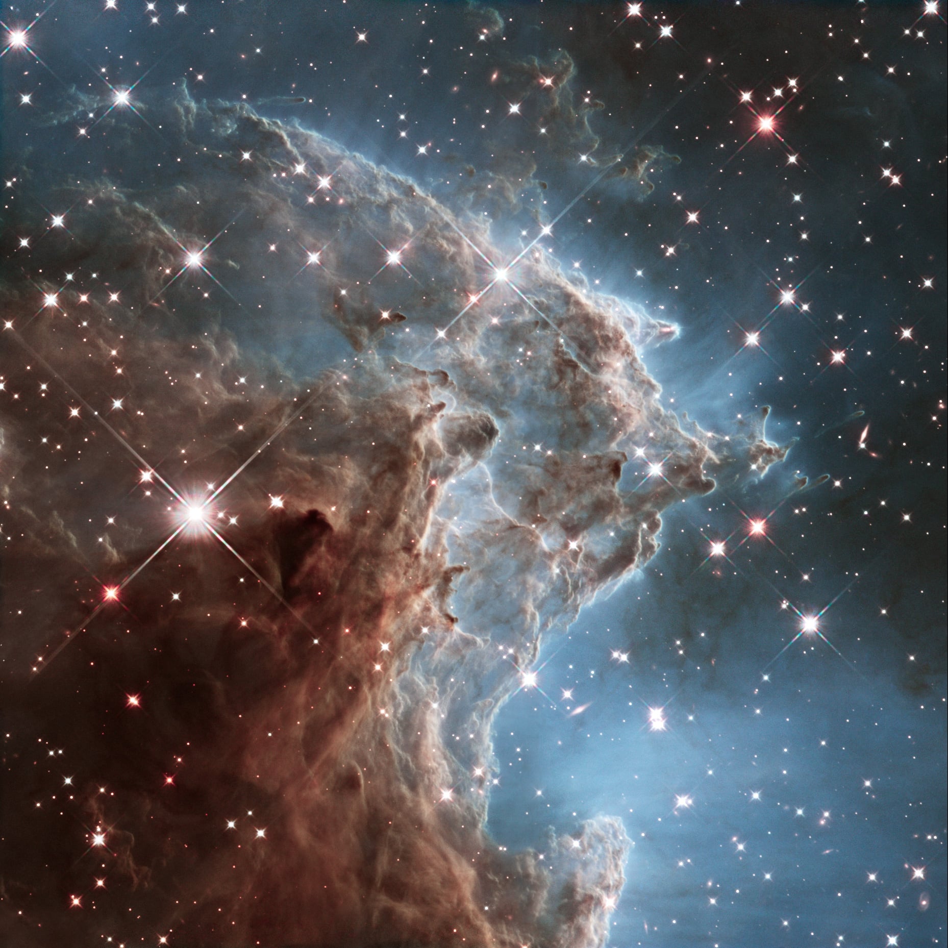 monkeyheadnebula.jpg