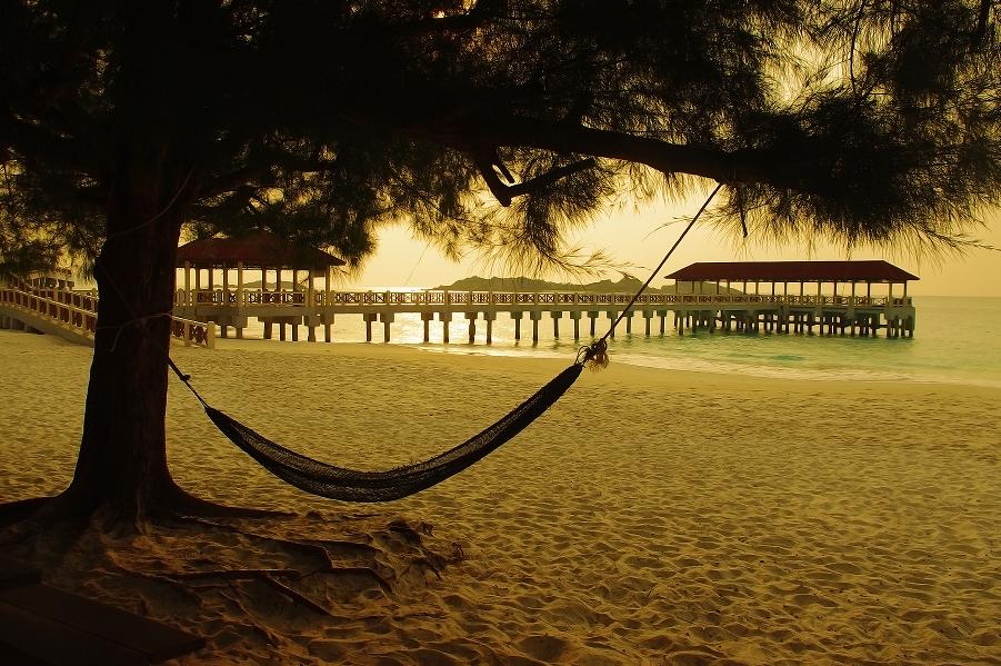 ahammock2.JPG