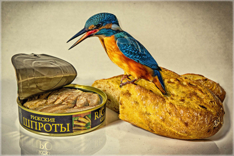 web-CREATIVEIMAGERY-Gold-RuedigerSchulz-800x533.jpg