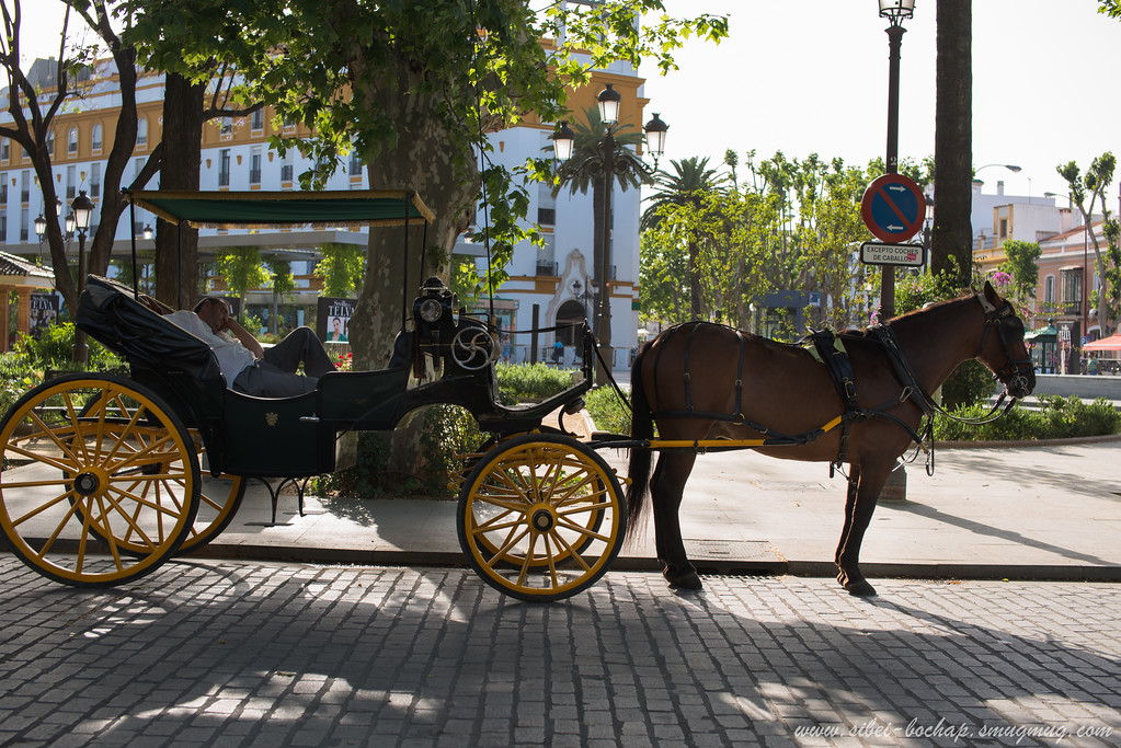 DSC8709-XL.jpg