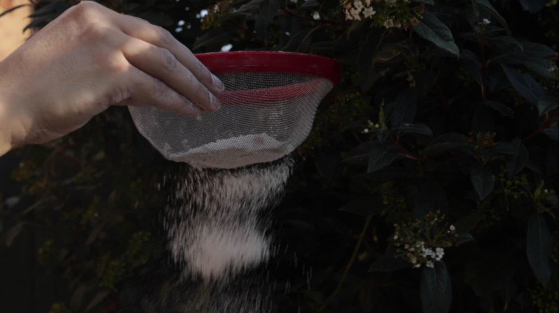 Annotation2019-10-04142610-800x449.jpg