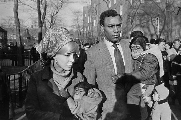winogrand_central_park_zoo.jpg