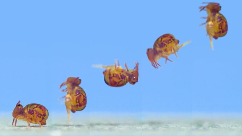 still-sequence-1-800x450.jpg