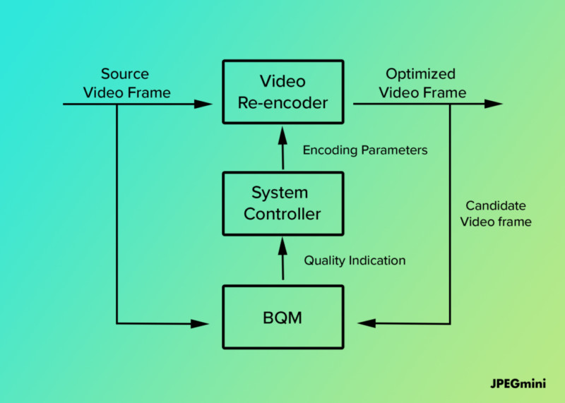 bqm4-1024x731-1-800x571.jpg