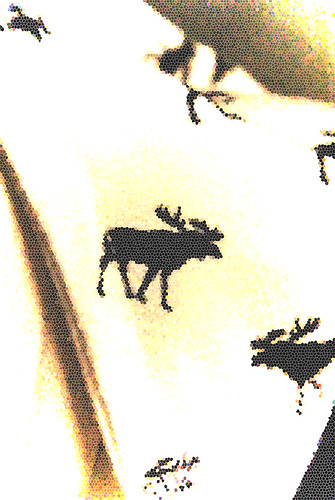 3723527151_019a234f24.jpg