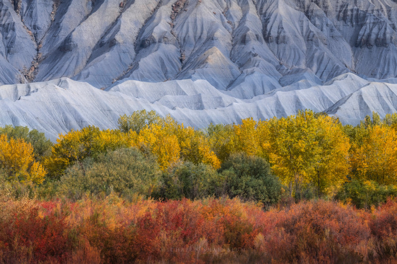 utah_fallcolor_landscapephotography_1-800x533.jpg