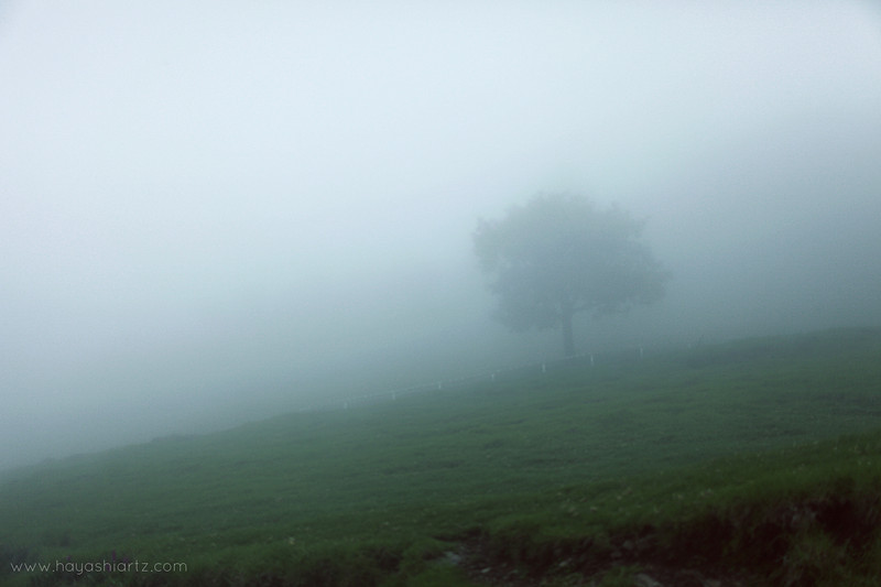 910021096_g3Nzv-L.jpg