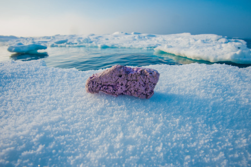 NorthPolePlastic-800x534.jpg