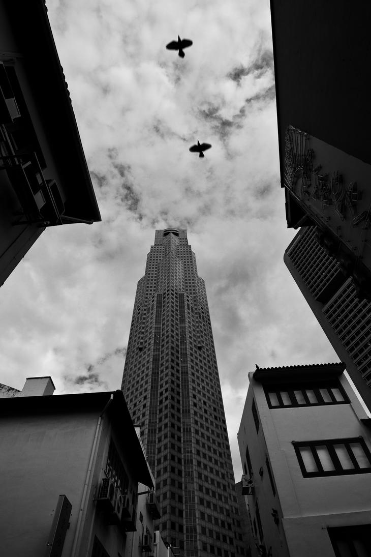 free_in_the_city_by_draken413o-d2znzm0.jpg