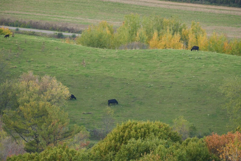 tamron-18-300mm-f3-5-6-3-zoom-1-300mm-800x534.jpg