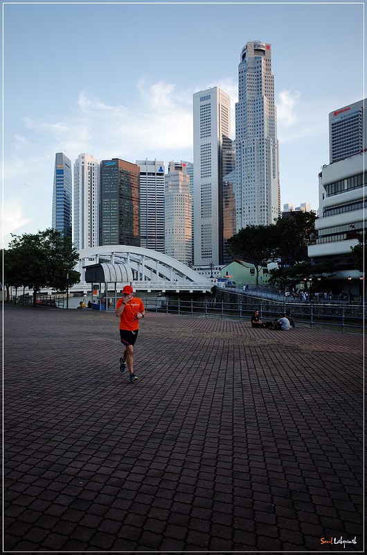 16200891700_cc13cd571d_c.jpg