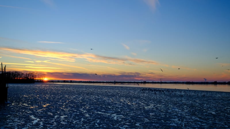 DSCF0202-800x450.jpg