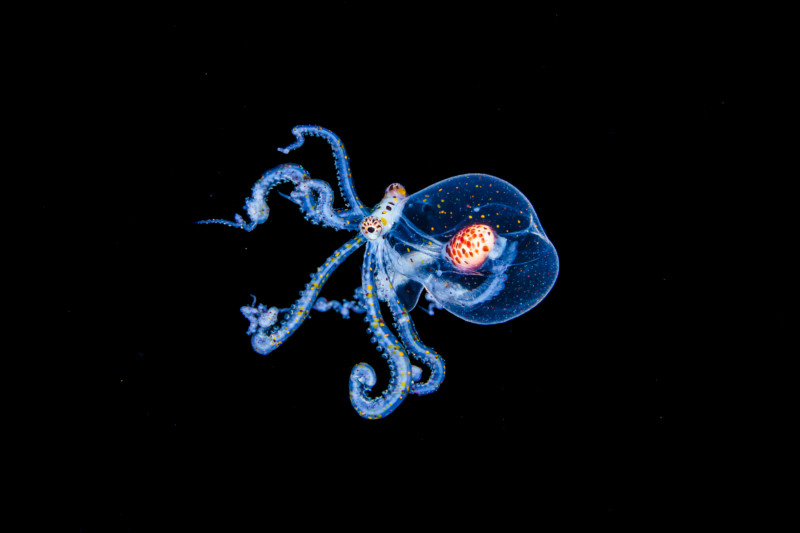 F8409841-Edit-800x533.jpg
