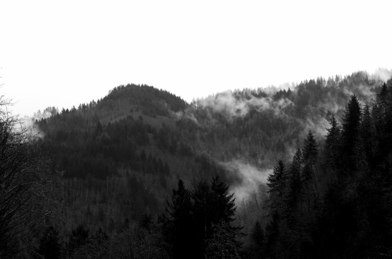 L1000617-800x529.jpg