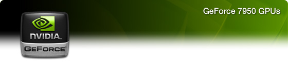 header_7950.jpg