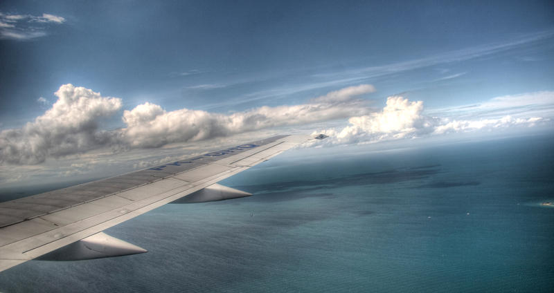 blue_wing__reedited_by_rgy1993.jpg