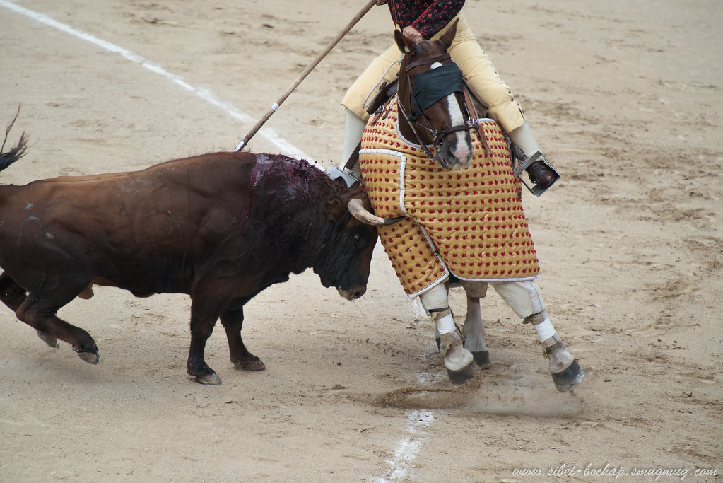 DSC7973-XL.jpg