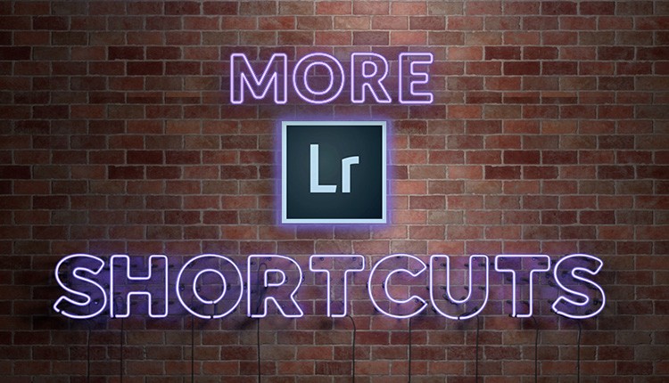 moreshortlr.jpg