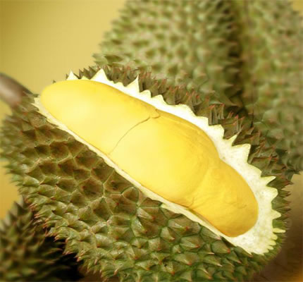 durian.jpg
